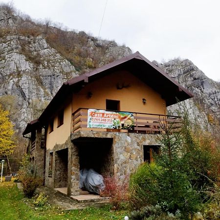 Casa Artemi Hotel Onceşti Exterior foto