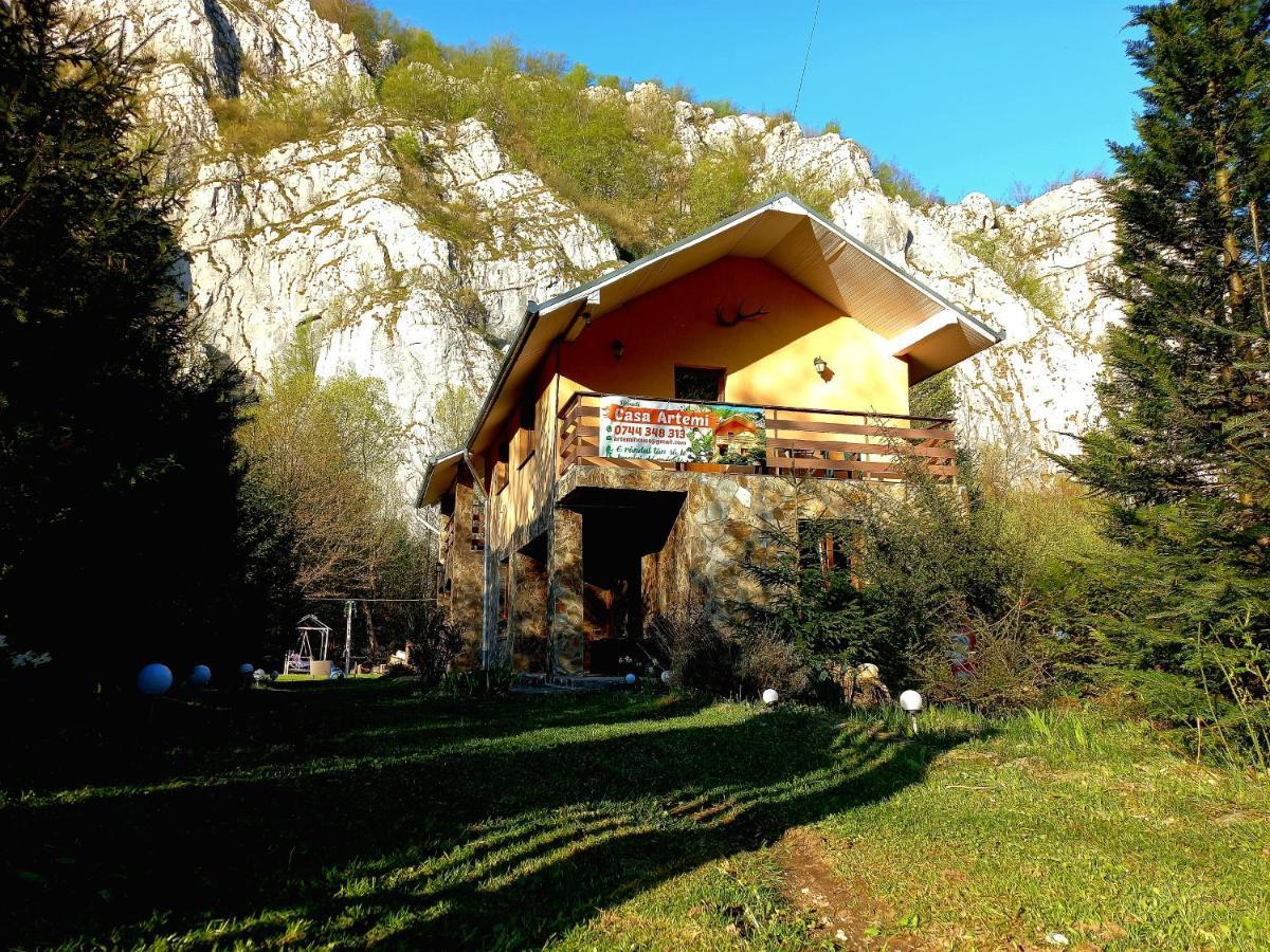 Casa Artemi Hotel Onceşti Exterior foto
