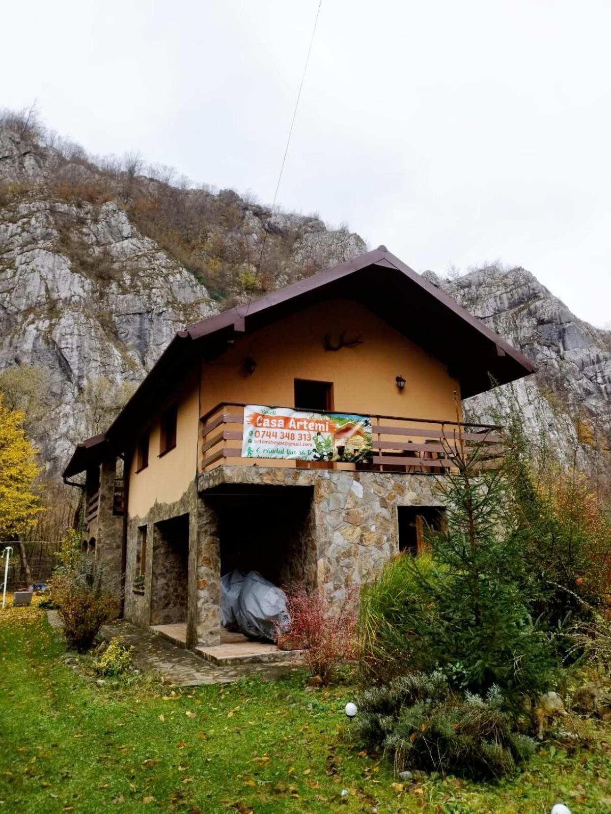 Casa Artemi Hotel Onceşti Exterior foto